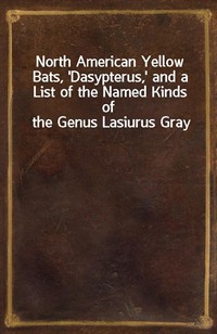 North American Yellow Bats, 'Dasypterus,' and a List of the Named Kinds of the Genus Lasiurus Gray (Ŀ̹)