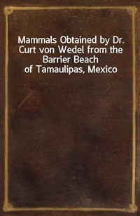 Mammals Obtained by Dr. Curt von Wedel from the Barrier Beach of Tamaulipas, Mexico (Ŀ̹)