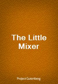 The Little Mixer (Ŀ̹)