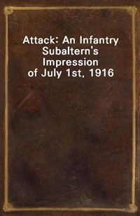 Attack: An Infantry Subaltern's Impression of July 1st, 1916 (커버이미지)