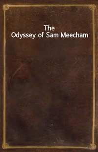 The Odyssey of Sam Meecham (Ŀ̹)