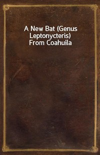 A New Bat (Genus Leptonycteris) From Coahuila (커버이미지)