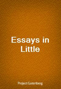 Essays in Little (커버이미지)