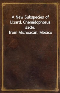 A New Subspecies of Lizard, Cnemidophorus sacki, from Michoac (커버이미지)
