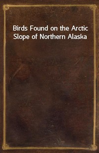 Birds Found on the Arctic Slope of Northern Alaska (커버이미지)
