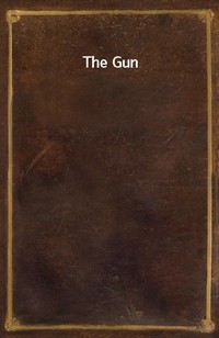 The Gun (Ŀ̹)