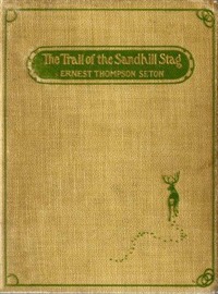 The Trail of the Sandhill Stag (Ŀ̹)