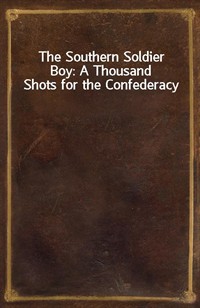 The Southern Soldier Boy: A Thousand Shots for the Confederacy (Ŀ̹)