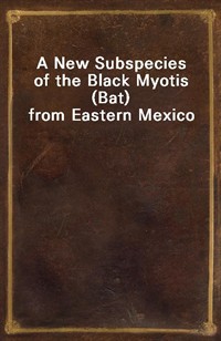 A New Subspecies of the Black Myotis (Bat) from Eastern Mexico (커버이미지)