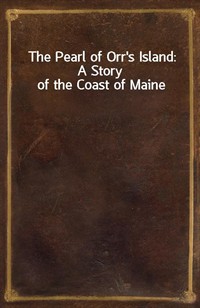 The Pearl of Orr's Island: A Story of the Coast of Maine (Ŀ̹)