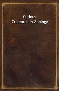Curious Creatures in Zoology (커버이미지)