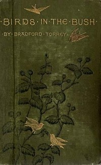 Birds in the Bush (커버이미지)