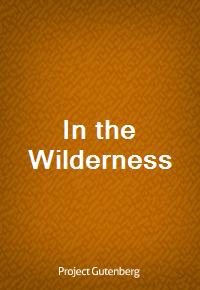 In the Wilderness (커버이미지)