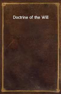 Doctrine of the Will (커버이미지)