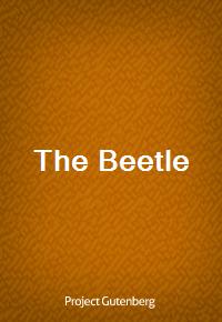 The Beetle (Ŀ̹)