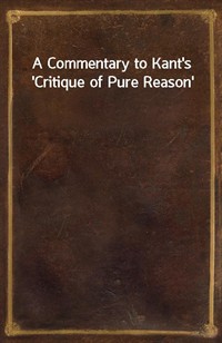 A Commentary to Kant's 'Critique of Pure Reason' (커버이미지)