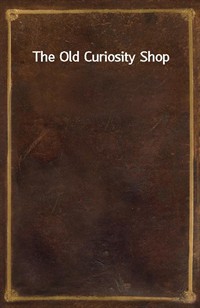 The Old Curiosity Shop (Ŀ̹)