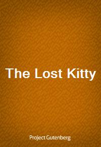 The Lost Kitty (Ŀ̹)