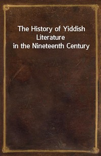 The History of Yiddish Literature in the Nineteenth Century (Ŀ̹)