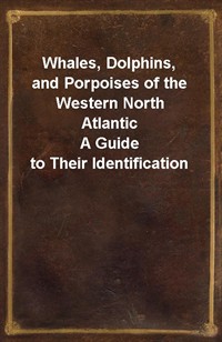 Whales, Dolphins, and Porpoises of the Western North AtlanticA Guide to Their Identification (Ŀ̹)