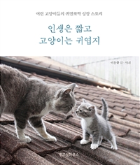 인생은 짧고 고양이는 귀엽지 - 어린 고양이들의 귀염뽀짝 성장 스토리 (커버이미지)
